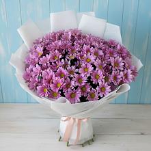 Букет цветов из:  Хризантемы #REPLACE_PRED# Луговой