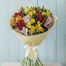 Букет цветов из:  Альстромерии #REPLACE_PRED# Луговой